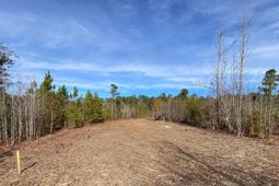 900 Piney Wood Road  photo 4