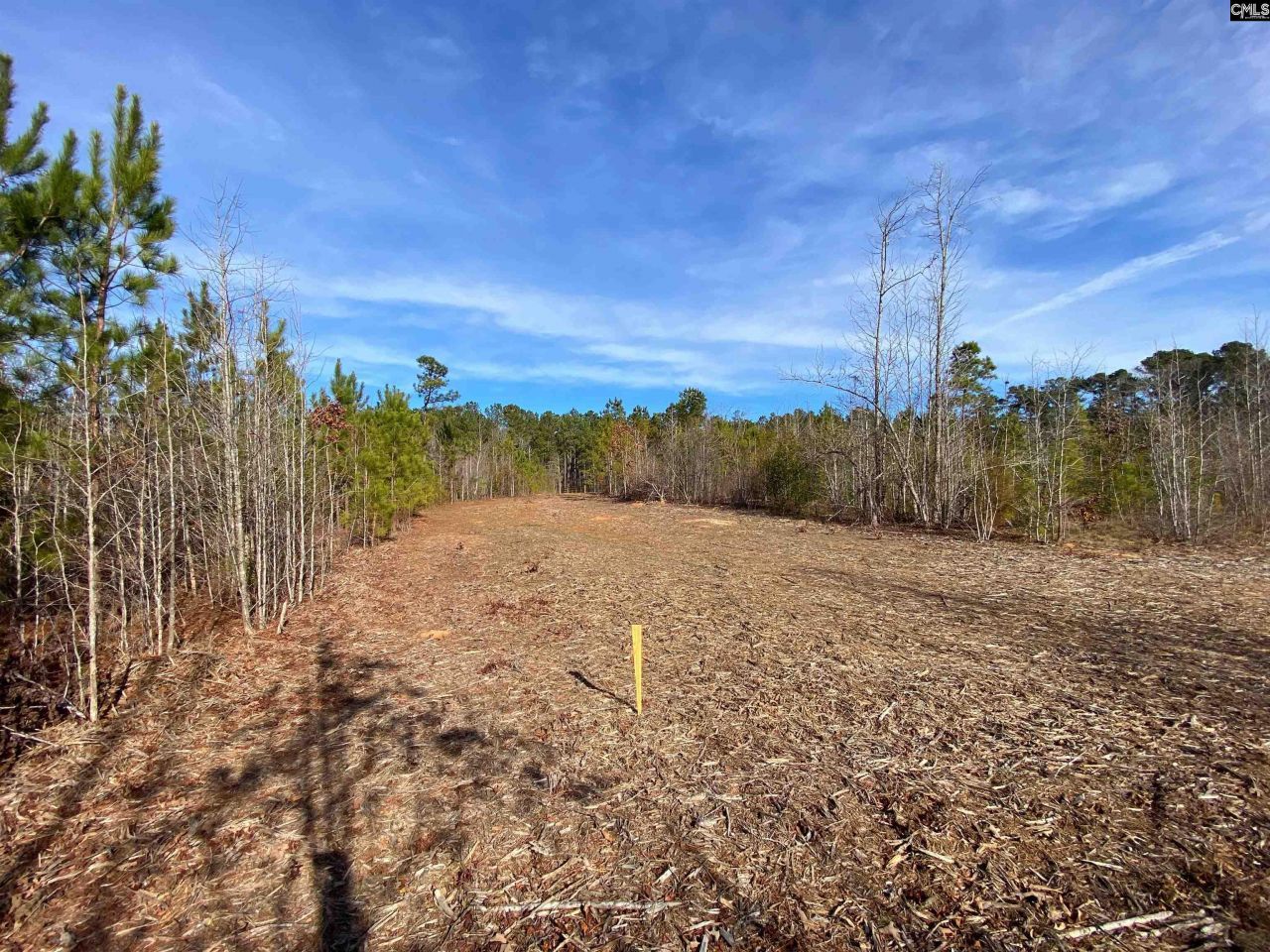 900 Piney Wood Road  Photo 6