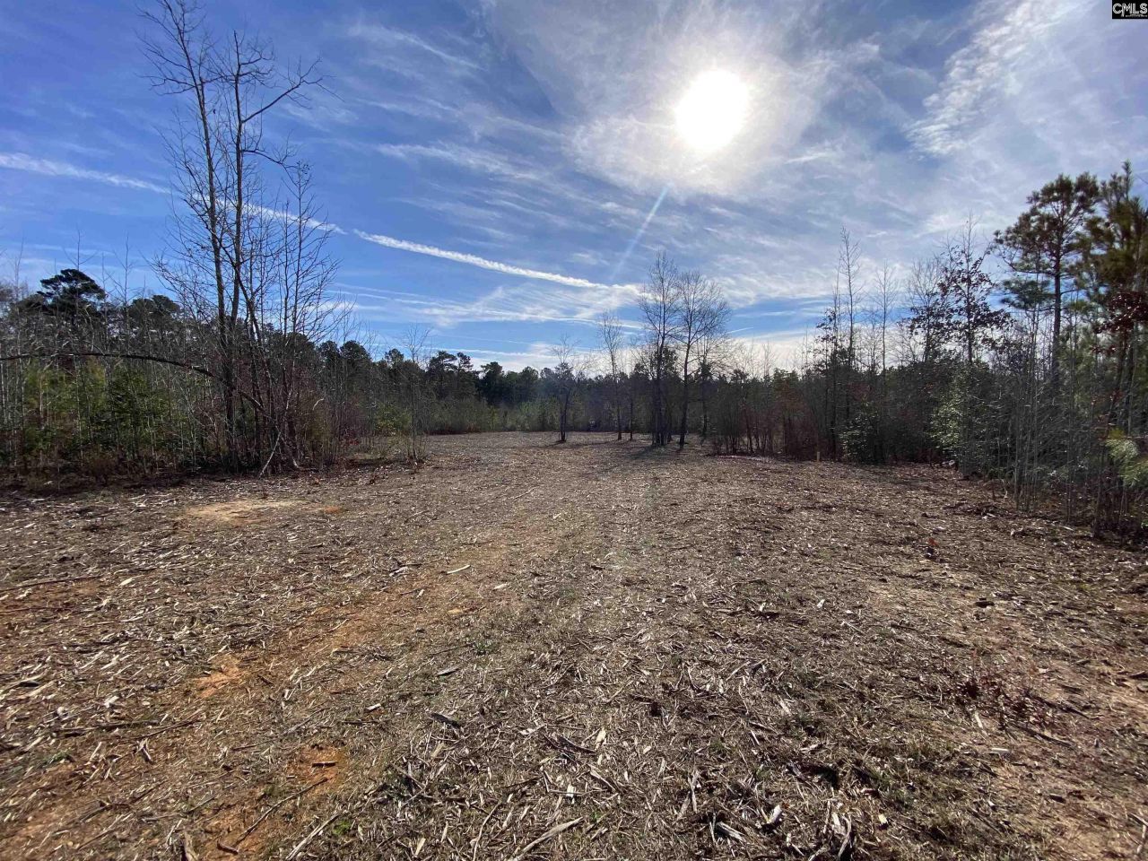 900 Piney Wood Road  Photo 7