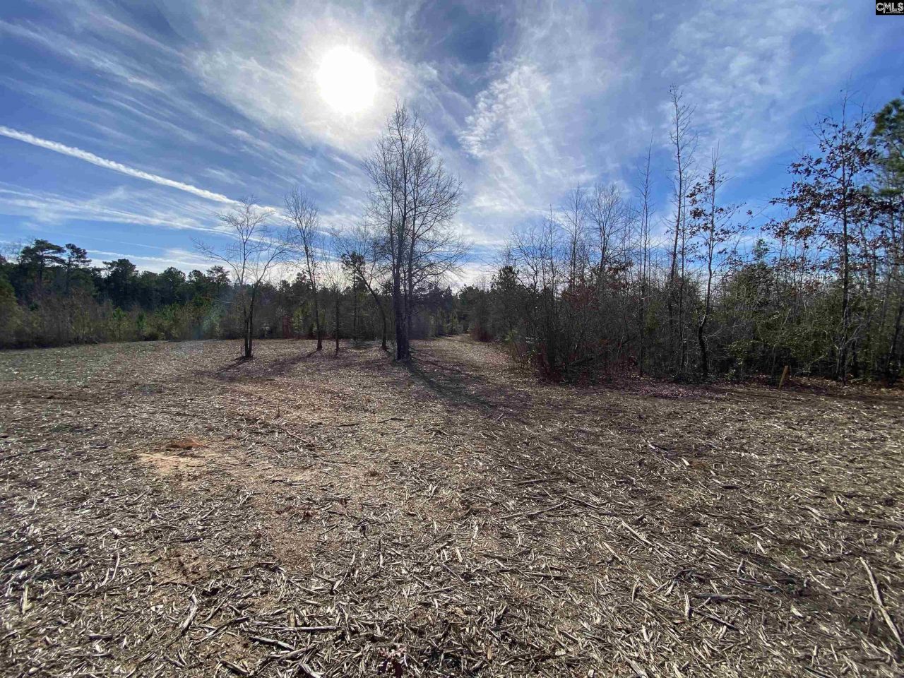 900 Piney Wood Road  Photo 8