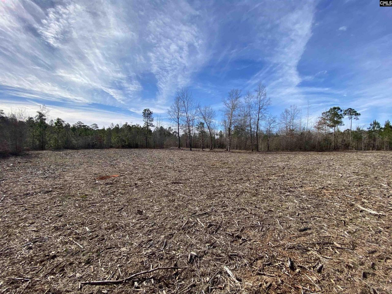 900 Piney Wood Road  Photo 9