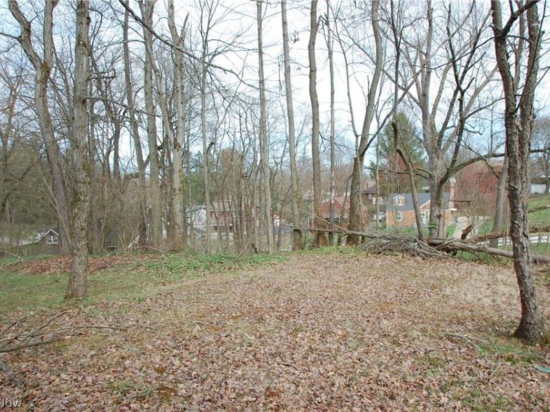 980 W Laclede Avenue, Youngstown, OH 44511 Photo 24