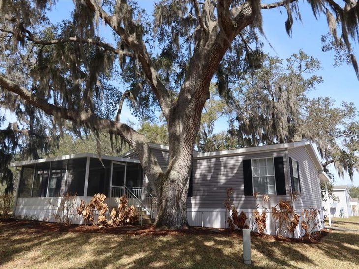 25157 Buttonwood Drive, Astatula, FL 34705