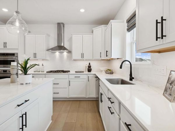 1071 Adamstown Drive, Rosemount, MN 55068