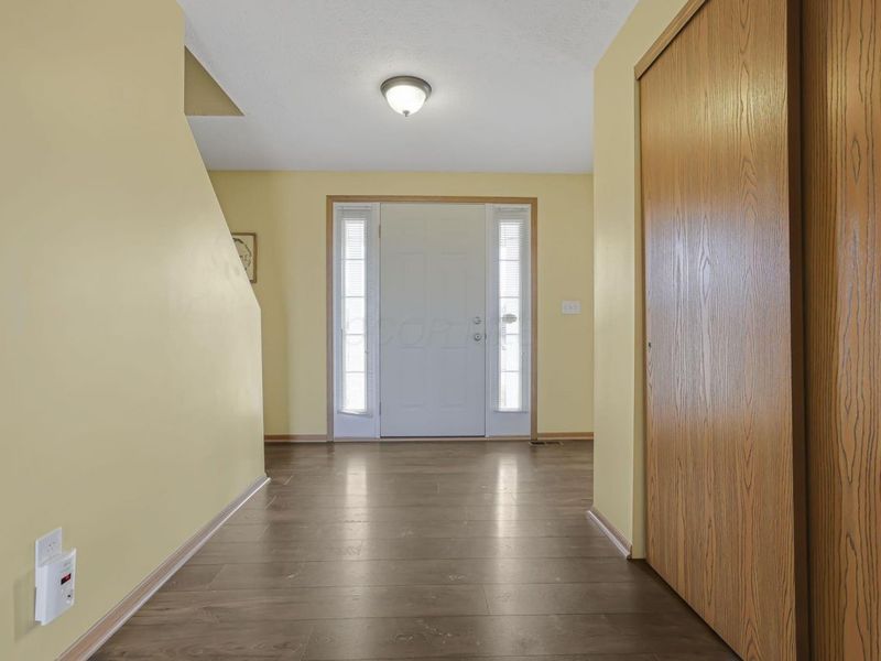 239 Peters Run Court, Commercial Point, OH 43116 Photo 10