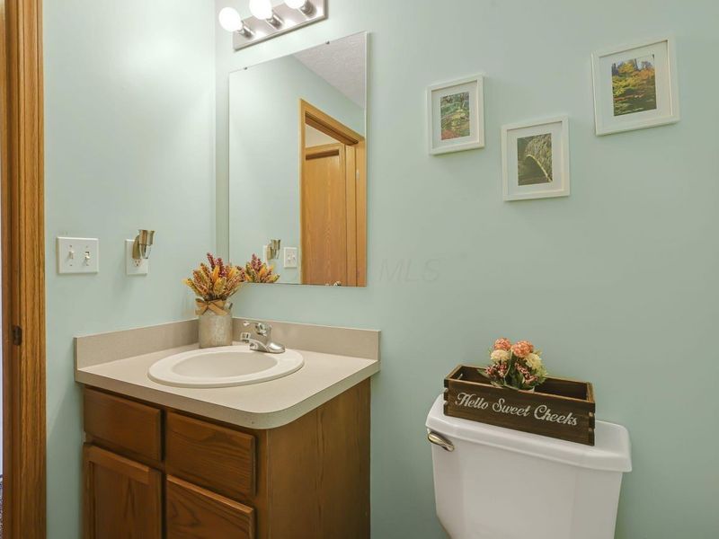 239 Peters Run Court, Commercial Point, OH 43116 Photo 26