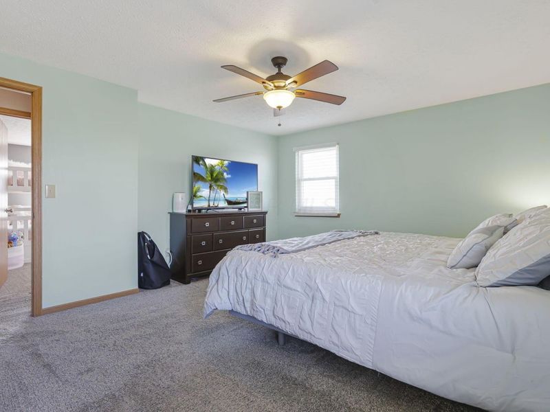 239 Peters Run Court, Commercial Point, OH 43116 Photo 29