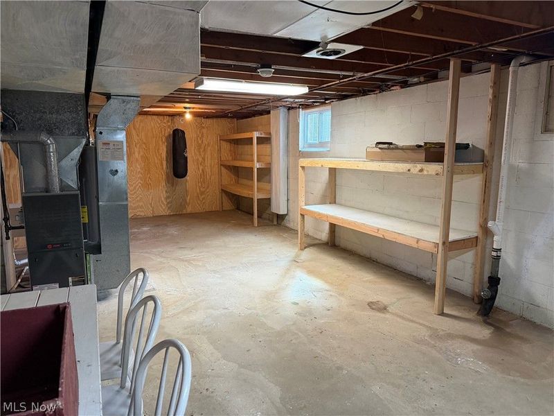 290 Glenview Road, Canfield, OH 44406 Photo 26