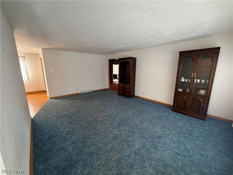 290 Glenview Road, Canfield, OH 44406 Photo 3