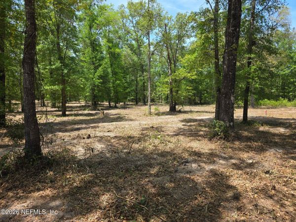 15433 BULLOCK BLUFF Road, Bryceville, FL 32009