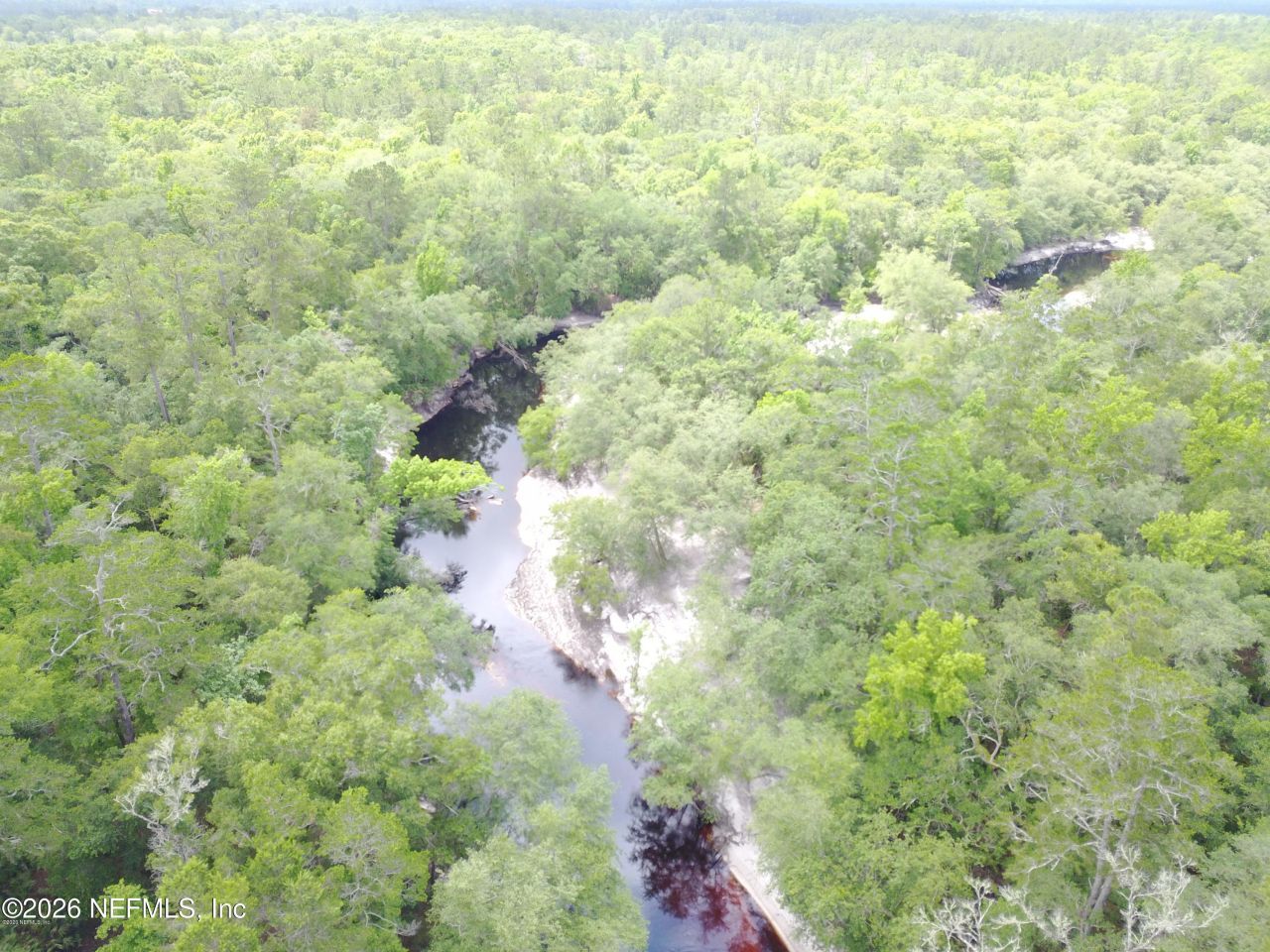 15433 Bullock Bluff Road, Bryceville, FL 32009 Photo