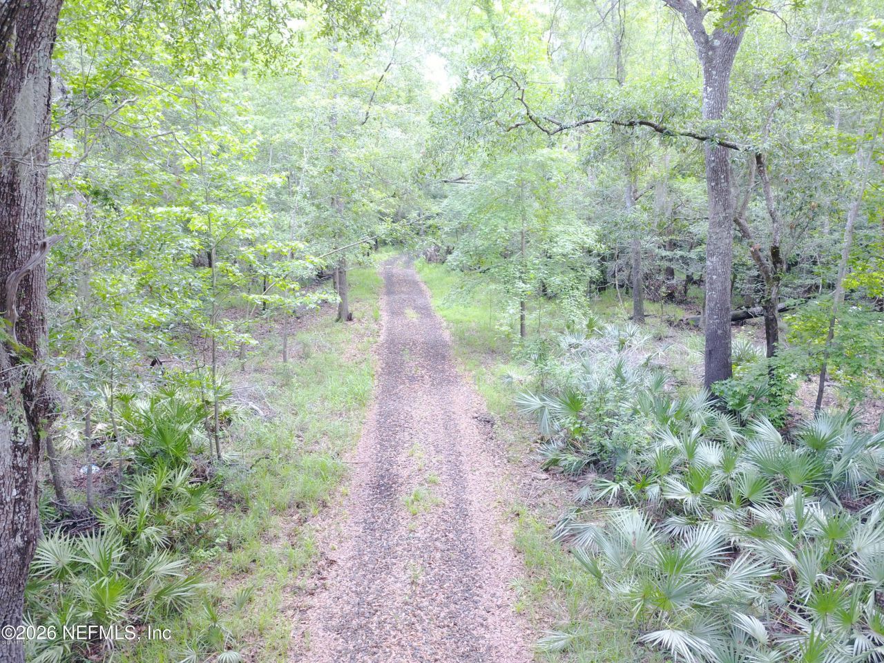 15433 Bullock Bluff Road, Bryceville, FL 32009 Photo