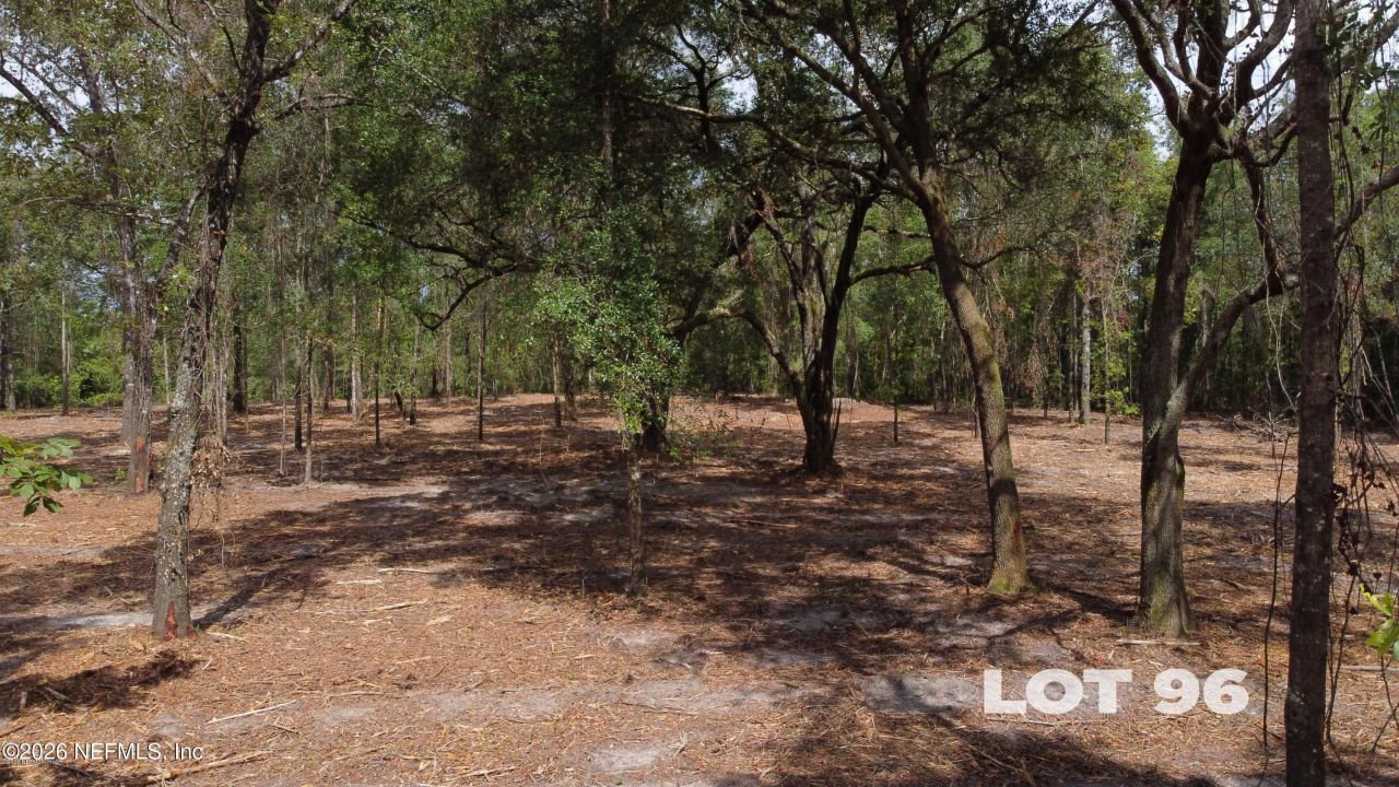 15433 Bullock Bluff Road, Bryceville, FL 32009 Photo