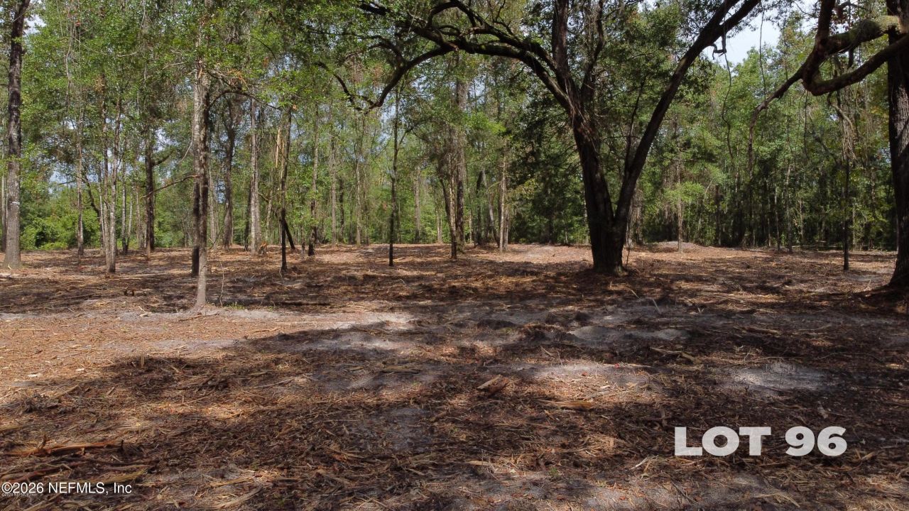 15433 Bullock Bluff Road, Bryceville, FL 32009 Photo