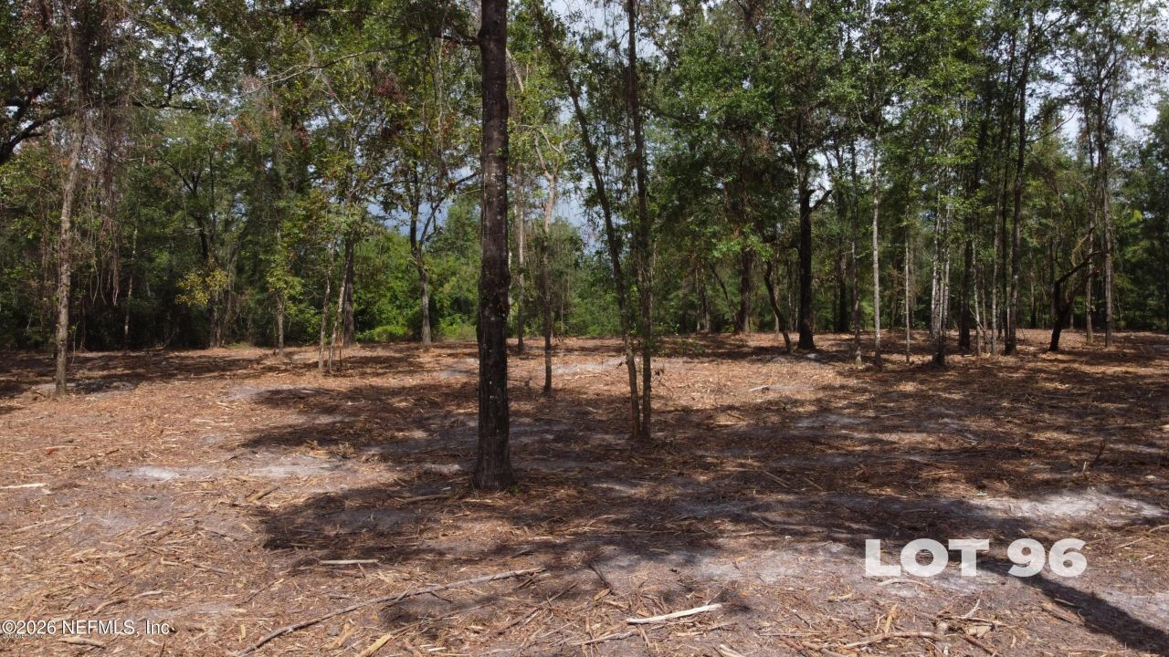 15433 Bullock Bluff Road, Bryceville, FL 32009 Photo