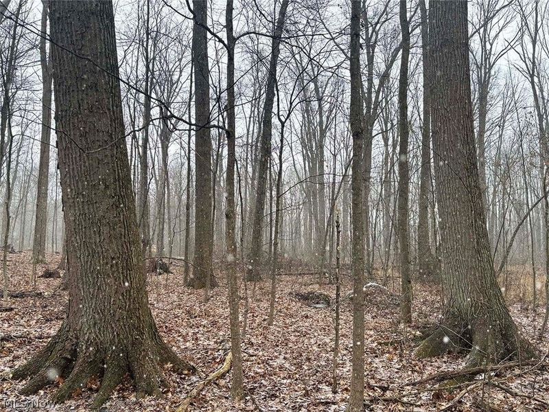 Greenbower Street NE, Alliance, OH 44601 Photo 8