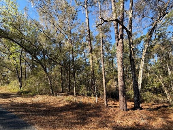 5230 S ROBERT BLAKE AVENUE, INVERNESS, FL 34452