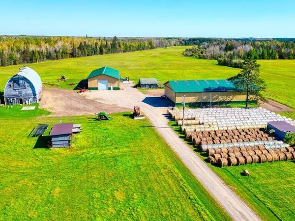 9166 Saralampi Road, Toivola, MN 55765