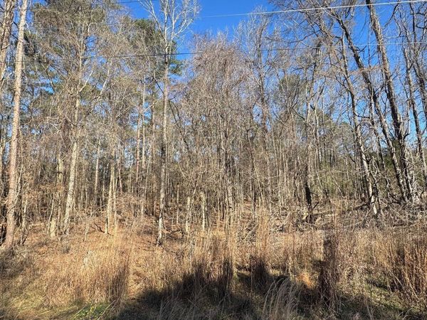 0 County Line Rd, Upatoi, GA 31829