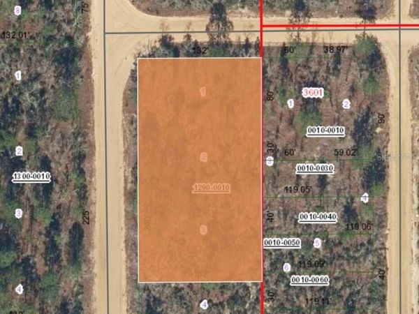 XX ORCHID AVENUE , INTERLACHEN, FL 32148