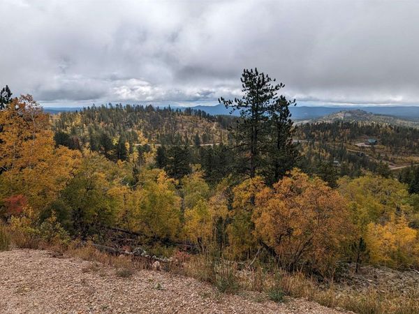 Prodigal Son LD Terry Summit Road, Lead, SD 57754