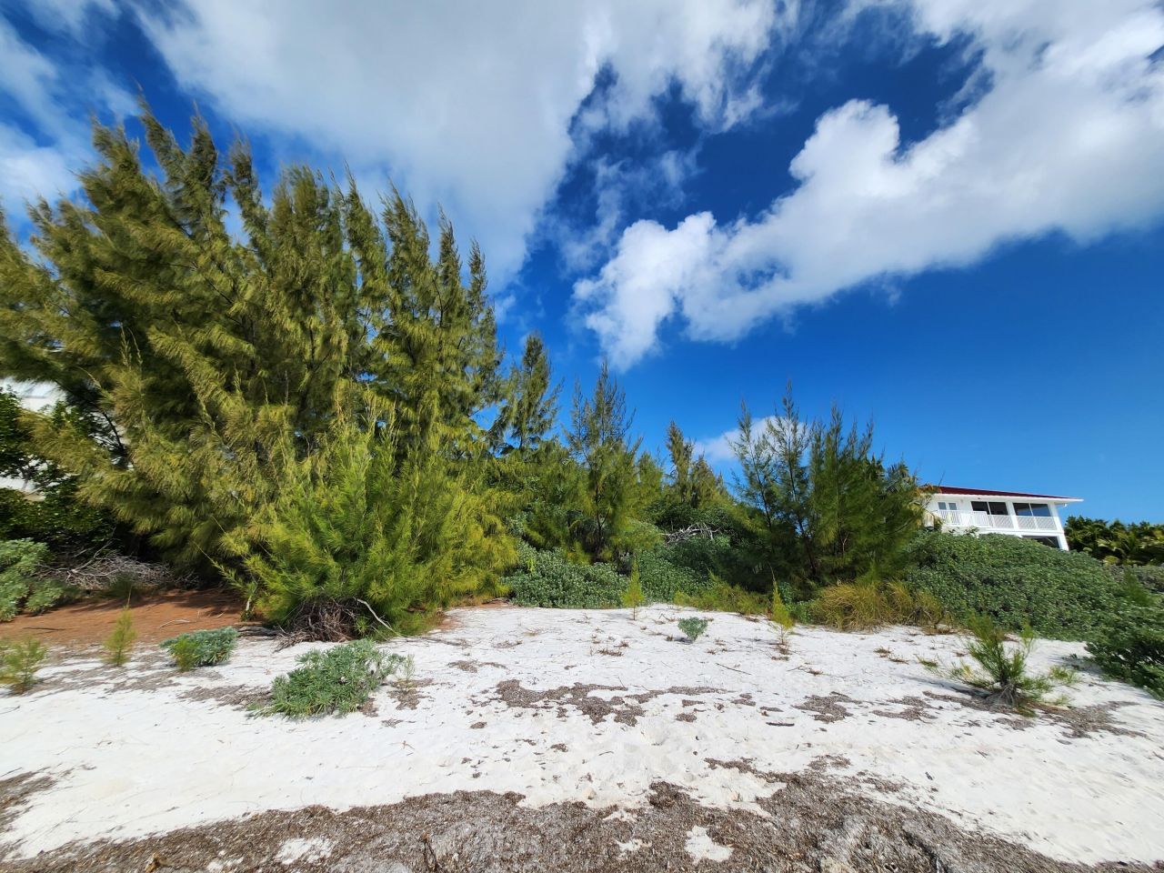 1221 Long Beach Drive, Big Pine Key, FL 33043 Photo