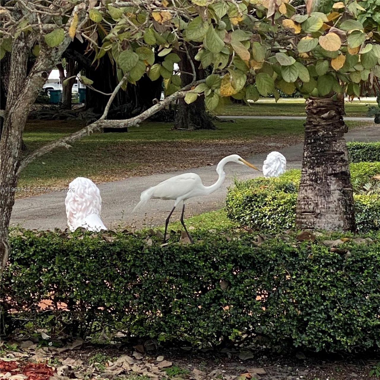 951 NE 116th St, Biscayne Park, FL 33161 Photo