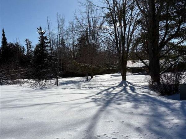 4040 Kuebler Drive, Alanson, MI 49706