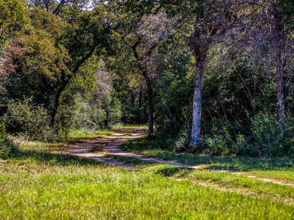 3336 County Road 326, Lexington, TX 78947