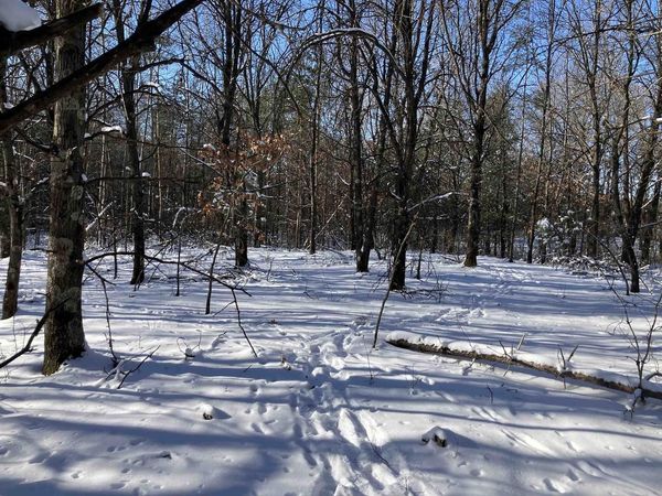 6536 AKRON AVENUE, Plainfield, WI 54966