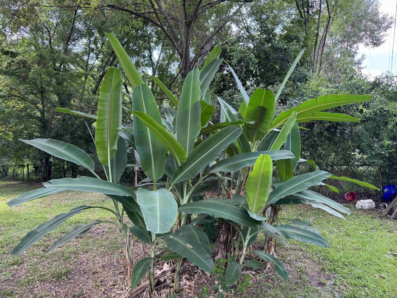 185 Gray Road, Quincy, FL 32351 Photo