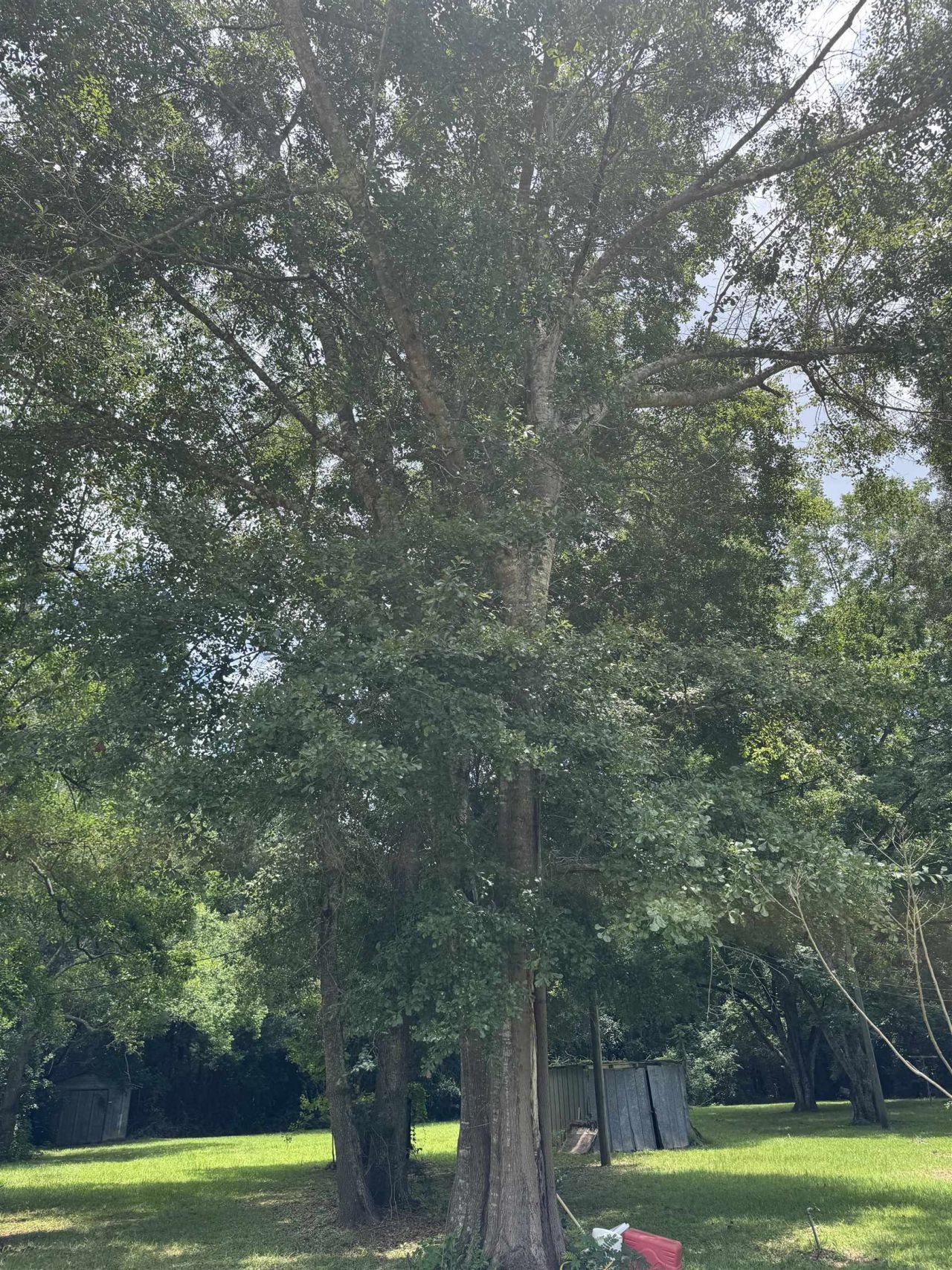 185 Gray Road, Quincy, FL 32351 Photo