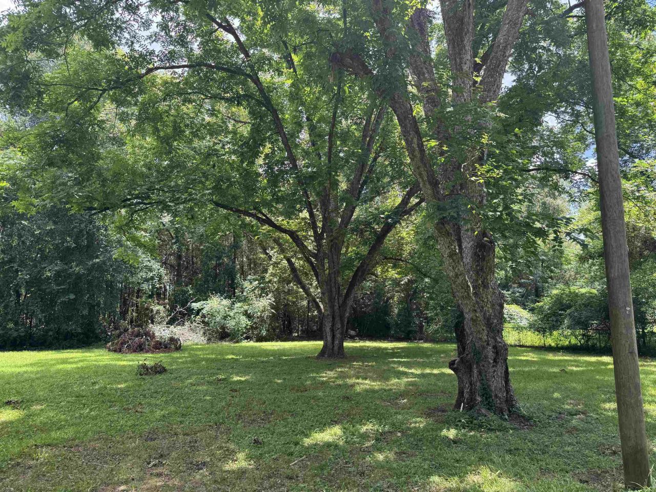 185 Gray Road, Quincy, FL 32351 Photo