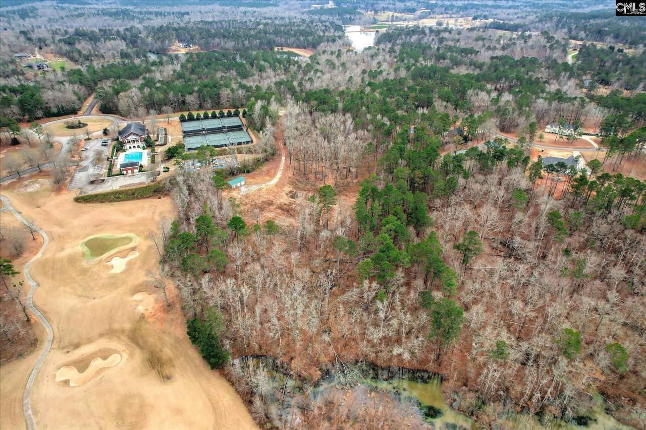 335 Mount Vintage Plantation Drive Photo 11