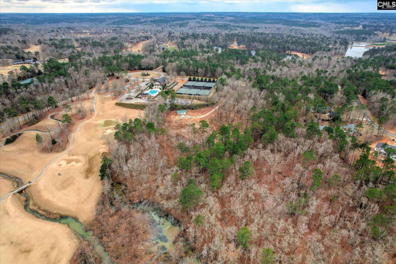 335 Mount Vintage Plantation Drive Photo 12