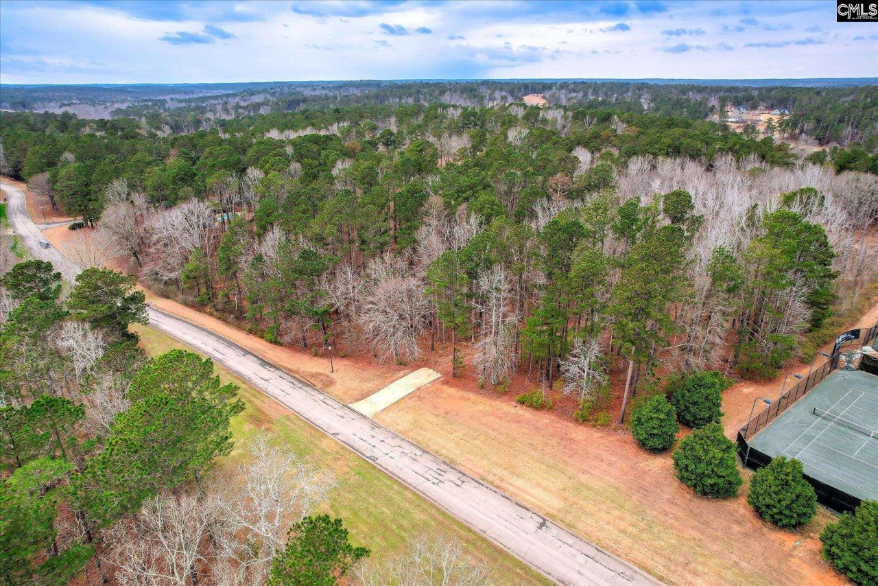 335 Mount Vintage Plantation Drive Photo 13