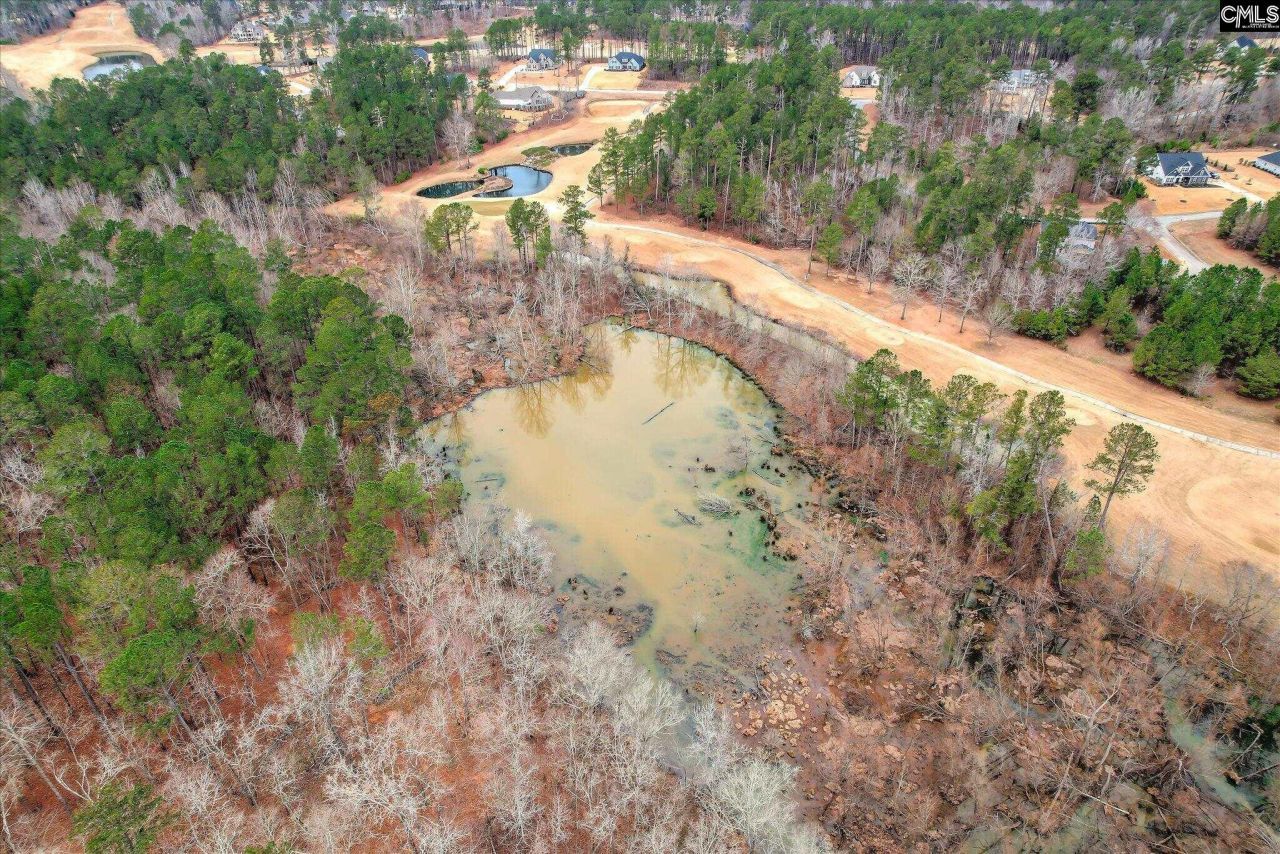 335 Mount Vintage Plantation Drive Photo 15