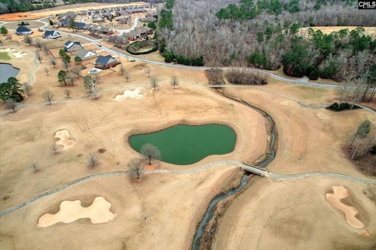 335 Mount Vintage Plantation Drive Photo 16