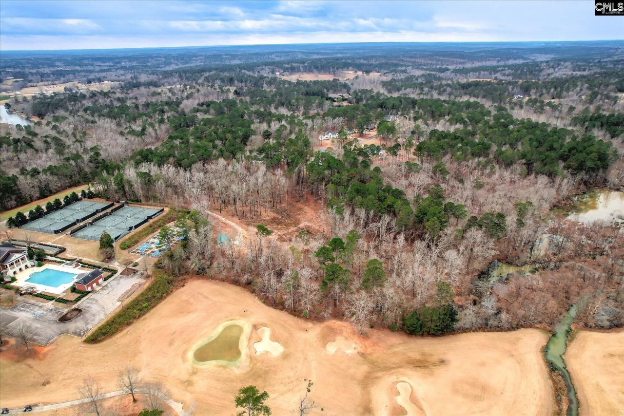 335 Mount Vintage Plantation Drive Photo 17