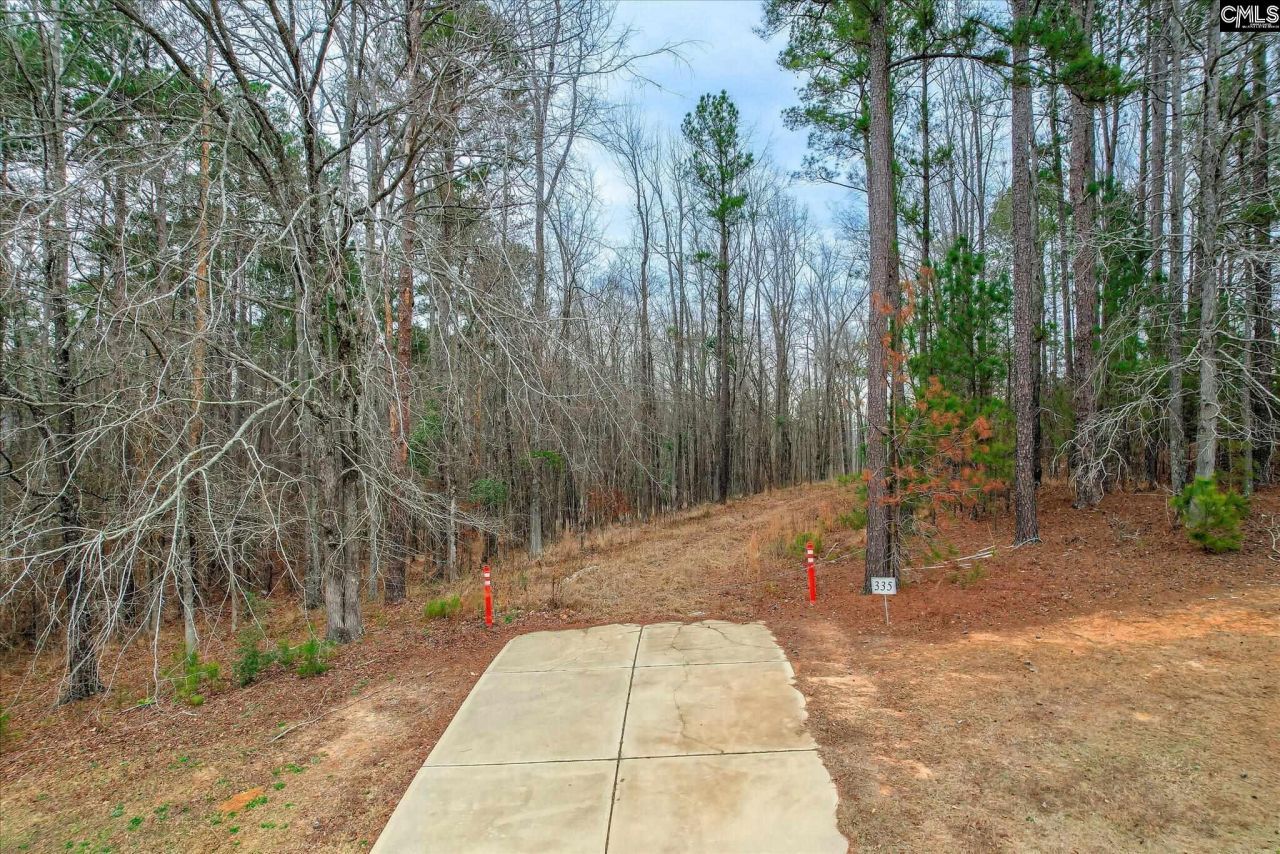 335 Mount Vintage Plantation Drive Photo 18