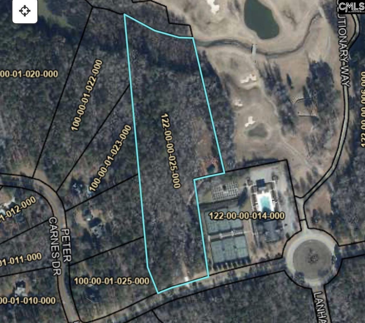 335 Mount Vintage Plantation Drive Photo 19