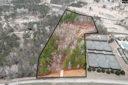 335 Mount Vintage Plantation Drive photo 4