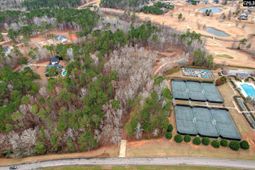 335 Mount Vintage Plantation Drive photo 4