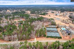 335 Mount Vintage Plantation Drive photo 4