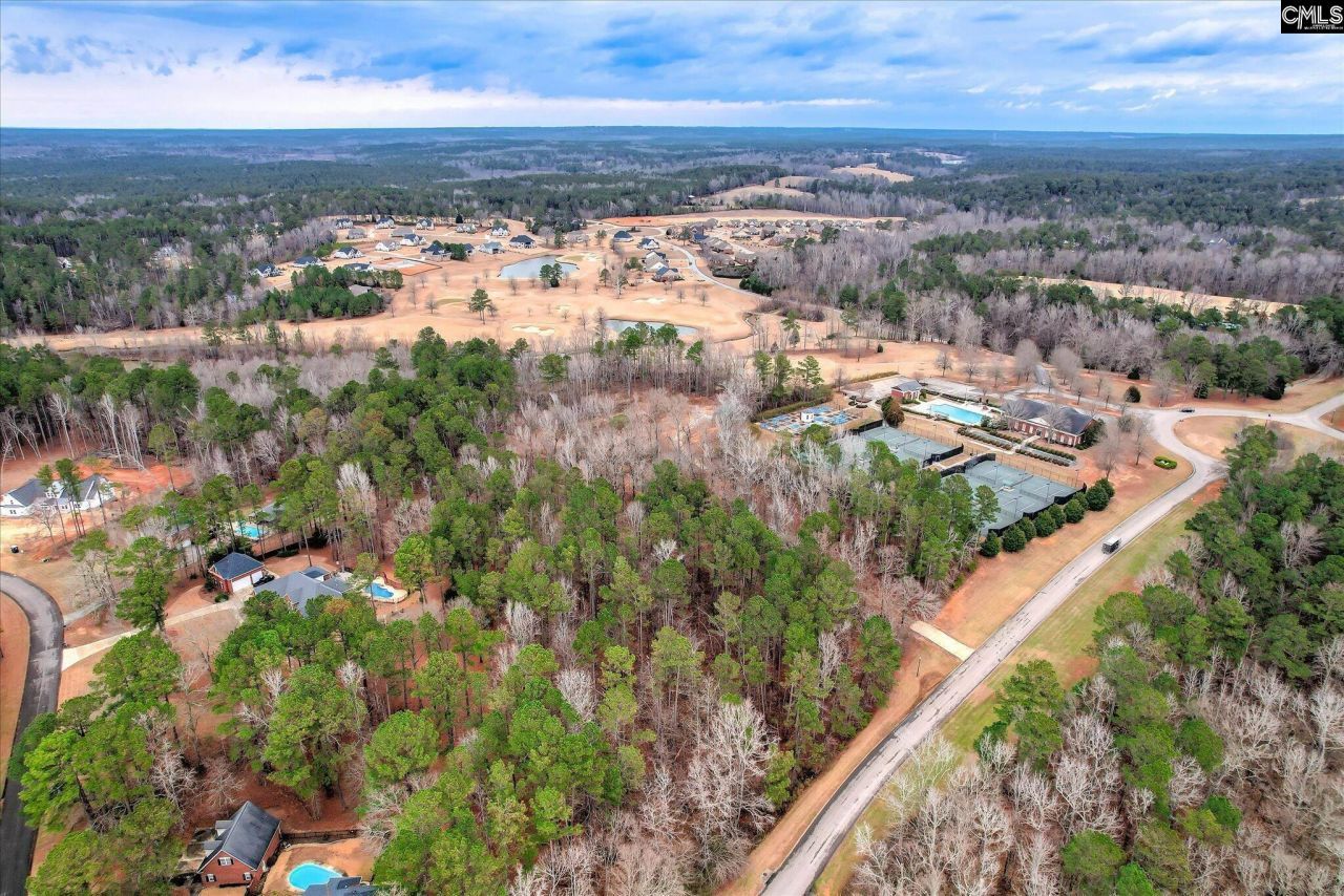 335 Mount Vintage Plantation Drive Photo 6