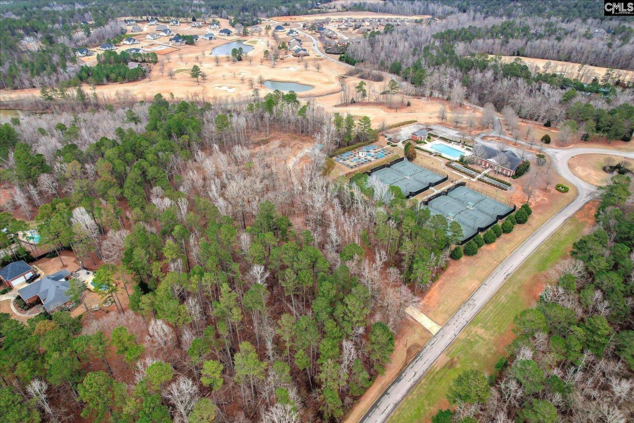 335 Mount Vintage Plantation Drive Photo 7