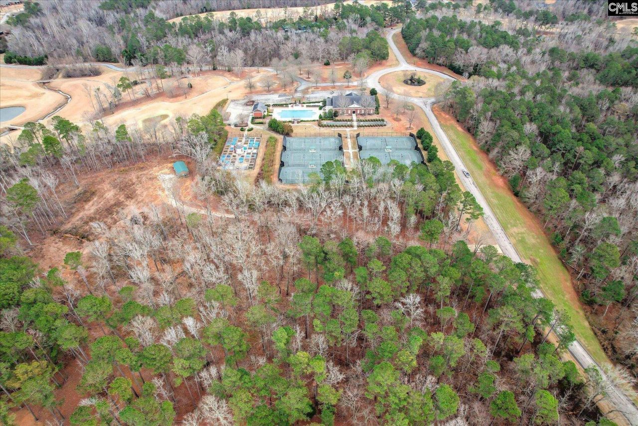 335 Mount Vintage Plantation Drive Photo 8