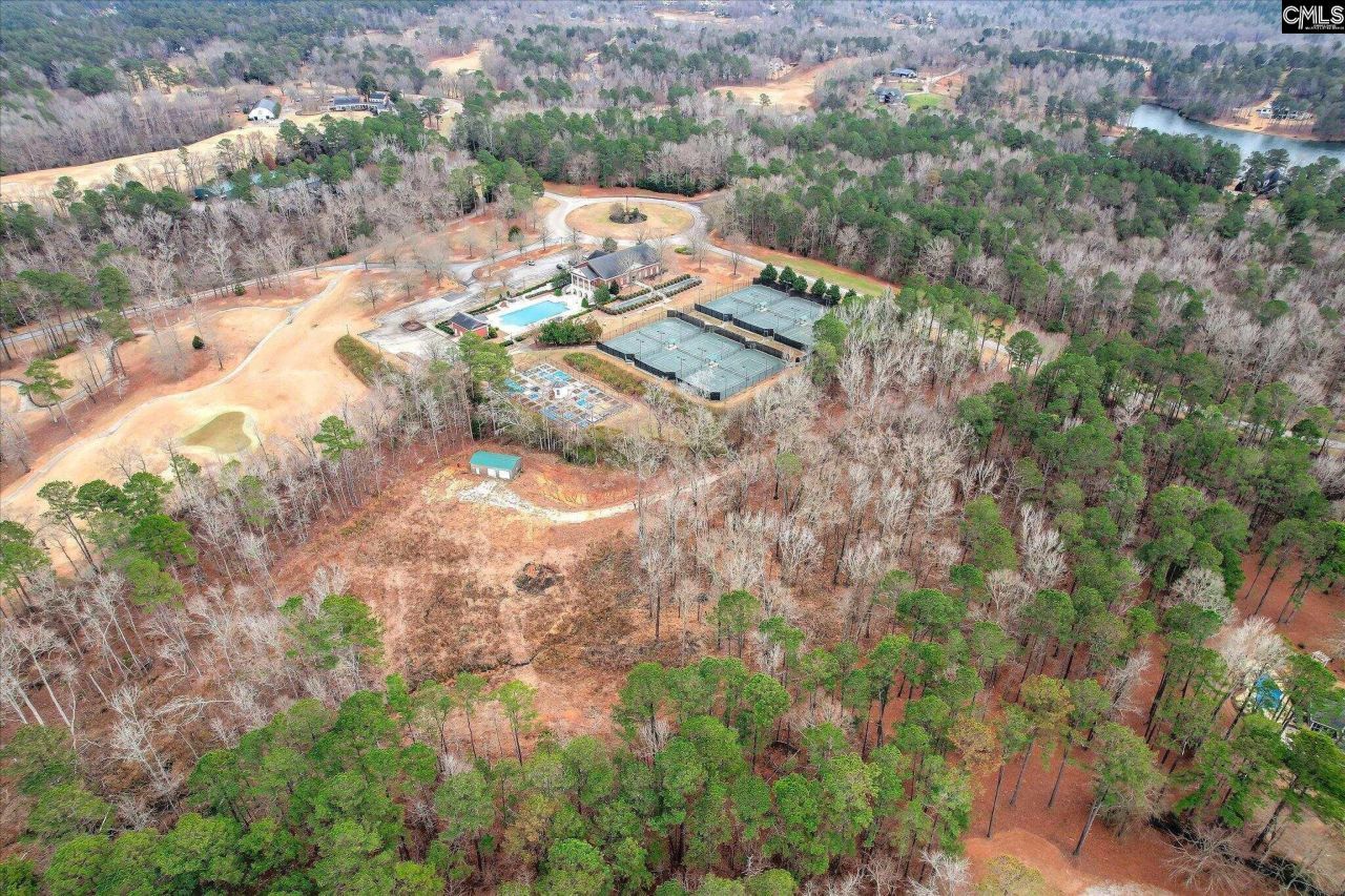 335 Mount Vintage Plantation Drive Photo 9