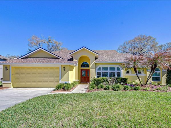 3901 NORTHRIDGE DRIVE, VALRICO, FL 33596