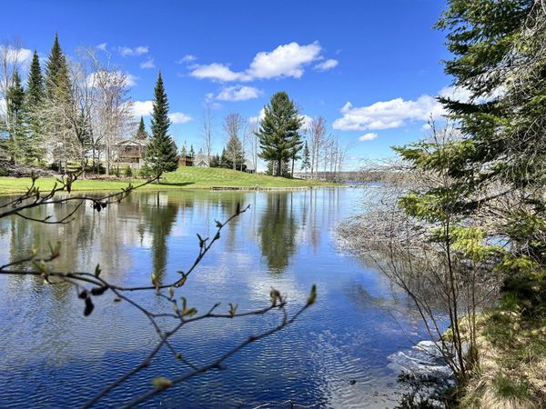 3472 High Pine Court, Wolverine, MI 49799